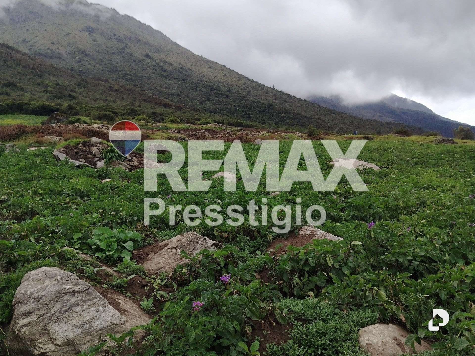 Terreno en La Culata – 18