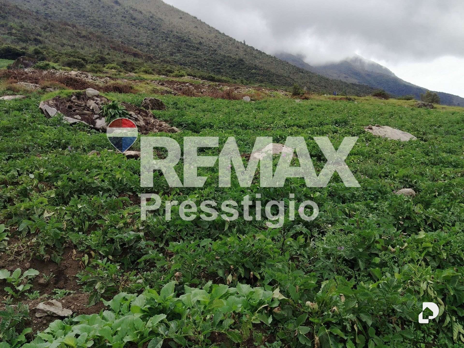 Terreno en La Culata – 20
