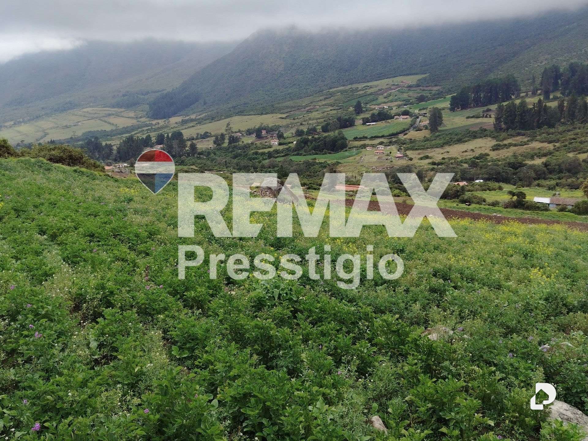 Terreno en La Culata – 28