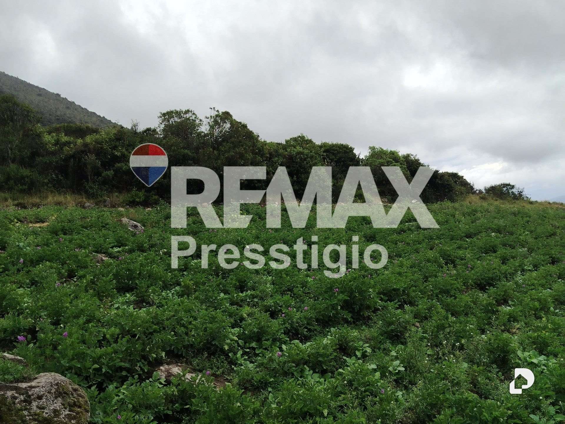 Terreno en La Culata – 29