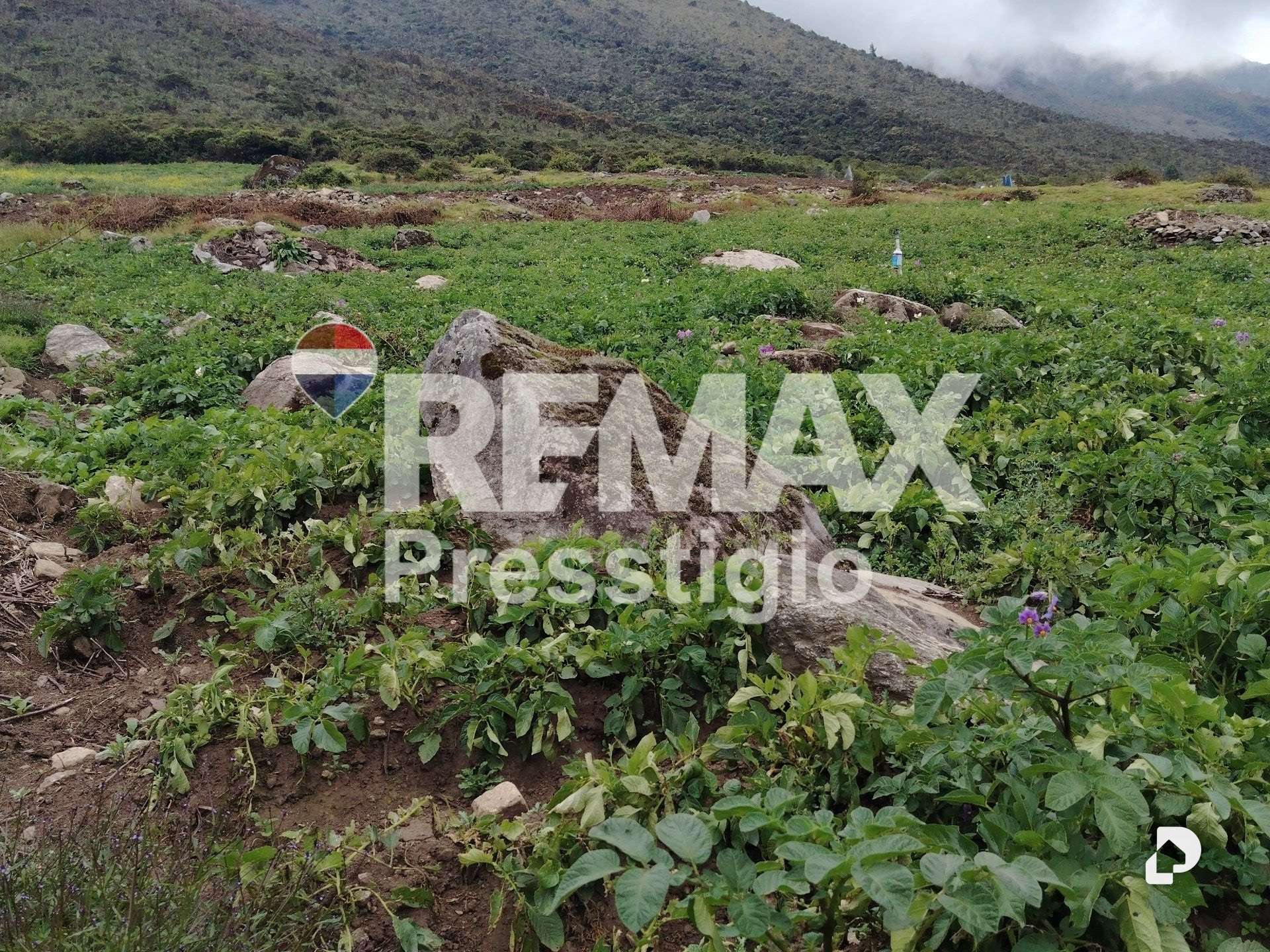 Terreno en La Culata – 15