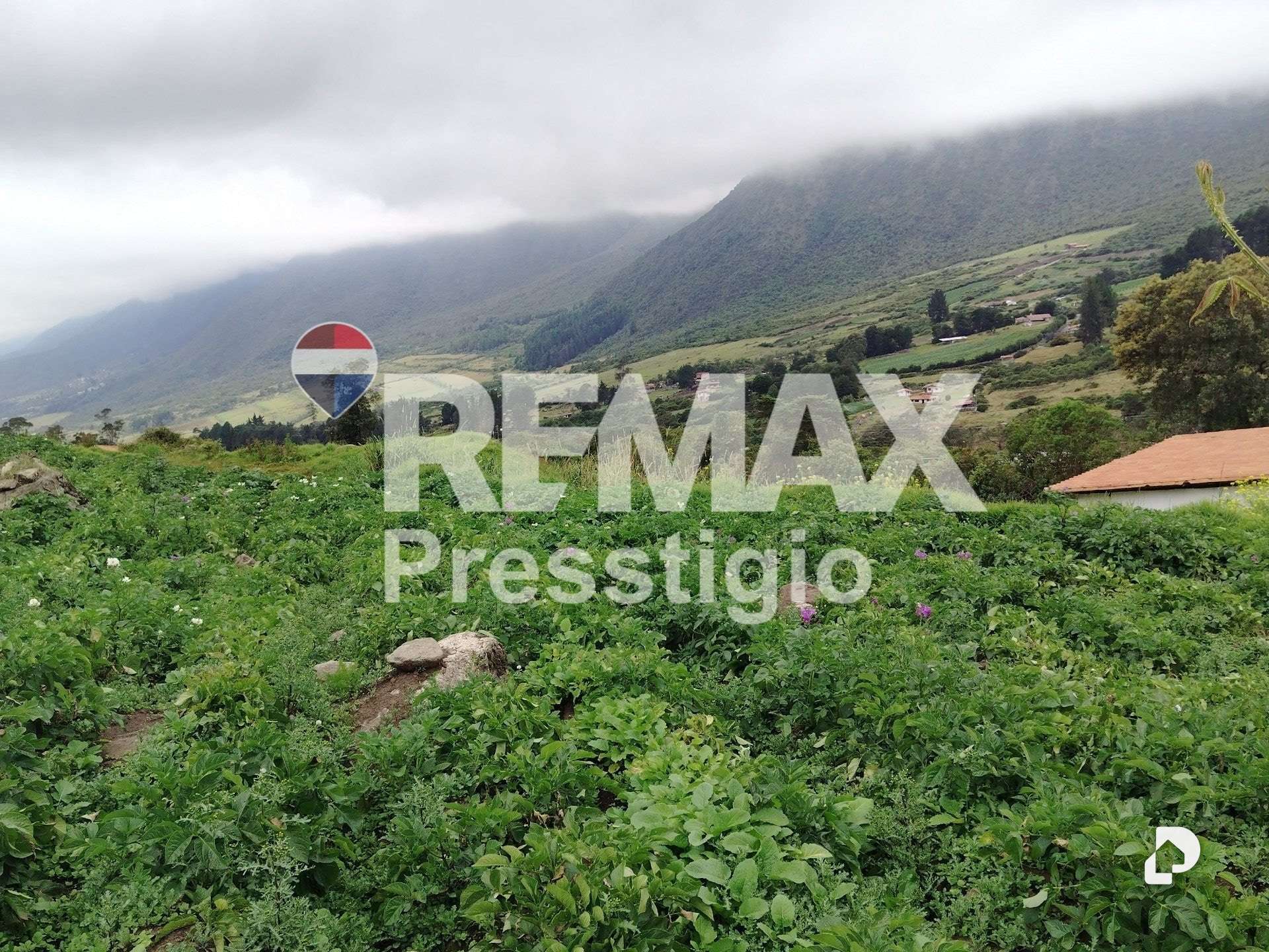Terreno en La Culata – 19