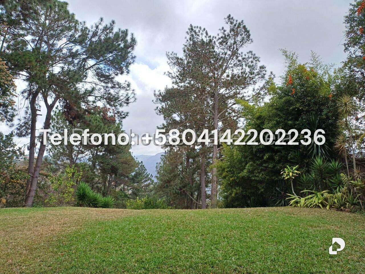 Casa en La Lagunita Country Club, Caracas – 42