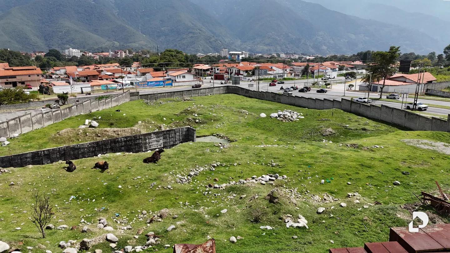 Terreno en Avenida Alberto Carnevalli, Antonio Spinetti Dini – 3