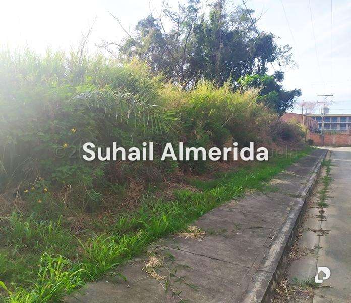 Terreno en Manantial, Naguanagua – 16