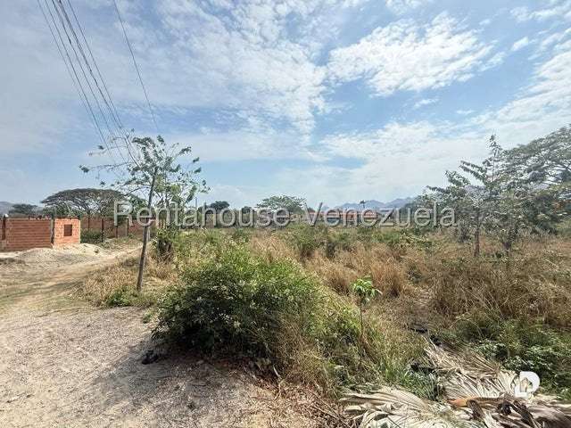 Terreno en Centro de San Diego, San Diego – 12