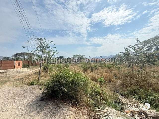 Terreno en Centro de San Diego, San Diego – 12