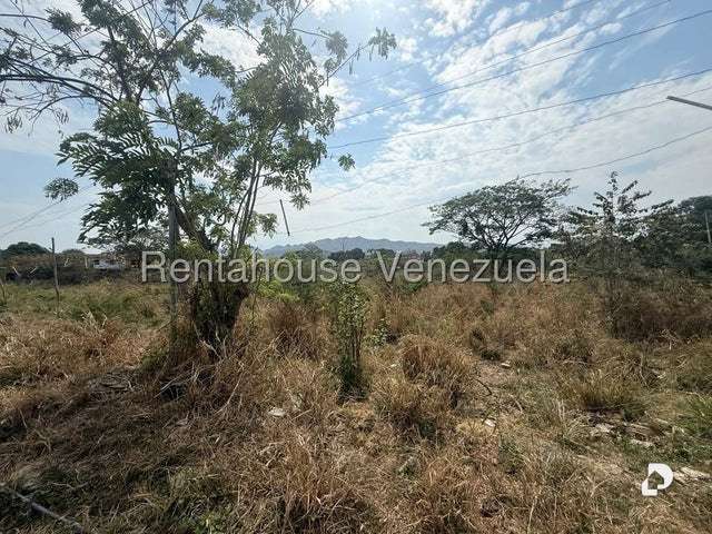 Terreno en Centro de San Diego, San Diego – 11