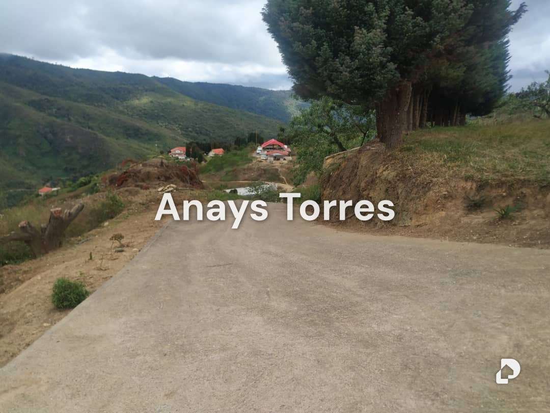 Finca en Los Teques, Altos Mirandinos – 14