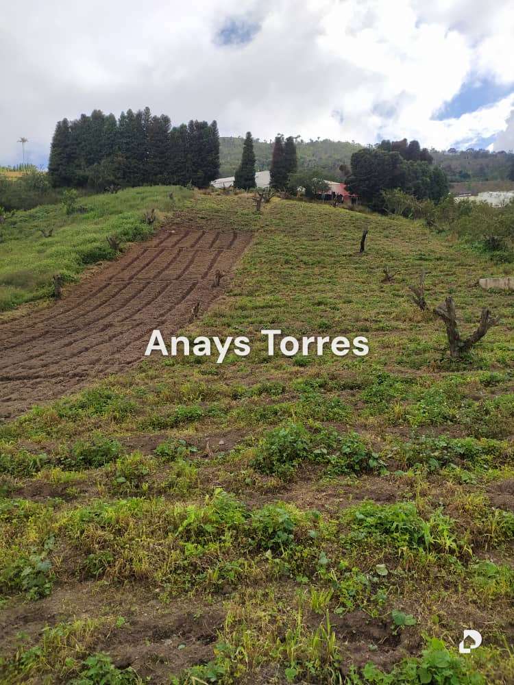 Finca en Los Teques, Altos Mirandinos – 5