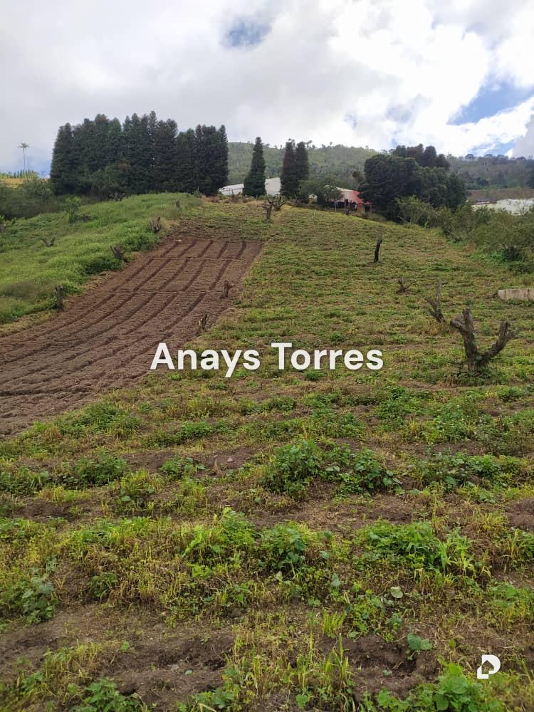 Finca en Los Teques, Altos Mirandinos – 5
