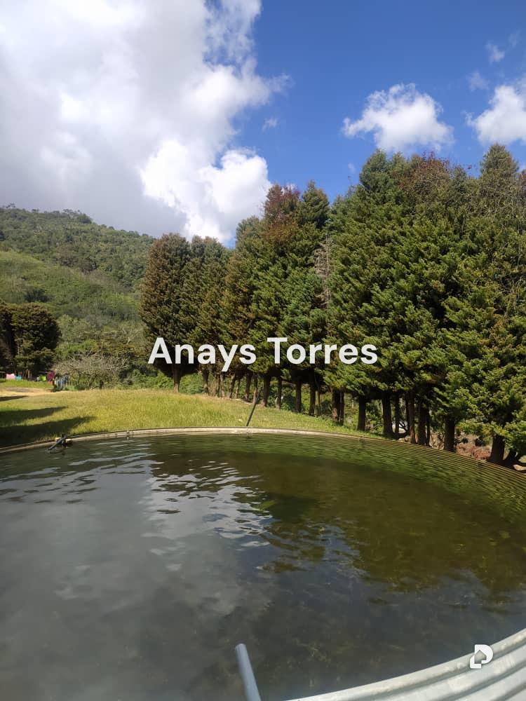 Finca en Los Teques, Altos Mirandinos – 4