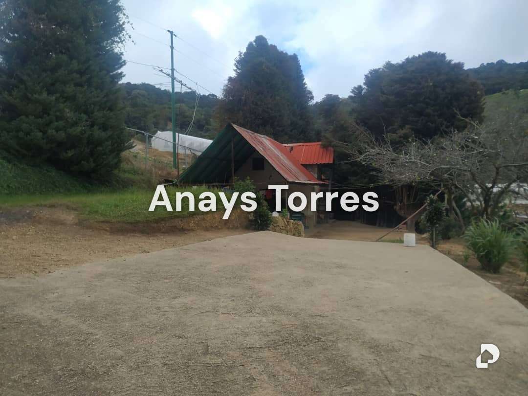 Finca en Los Teques, Altos Mirandinos – 12