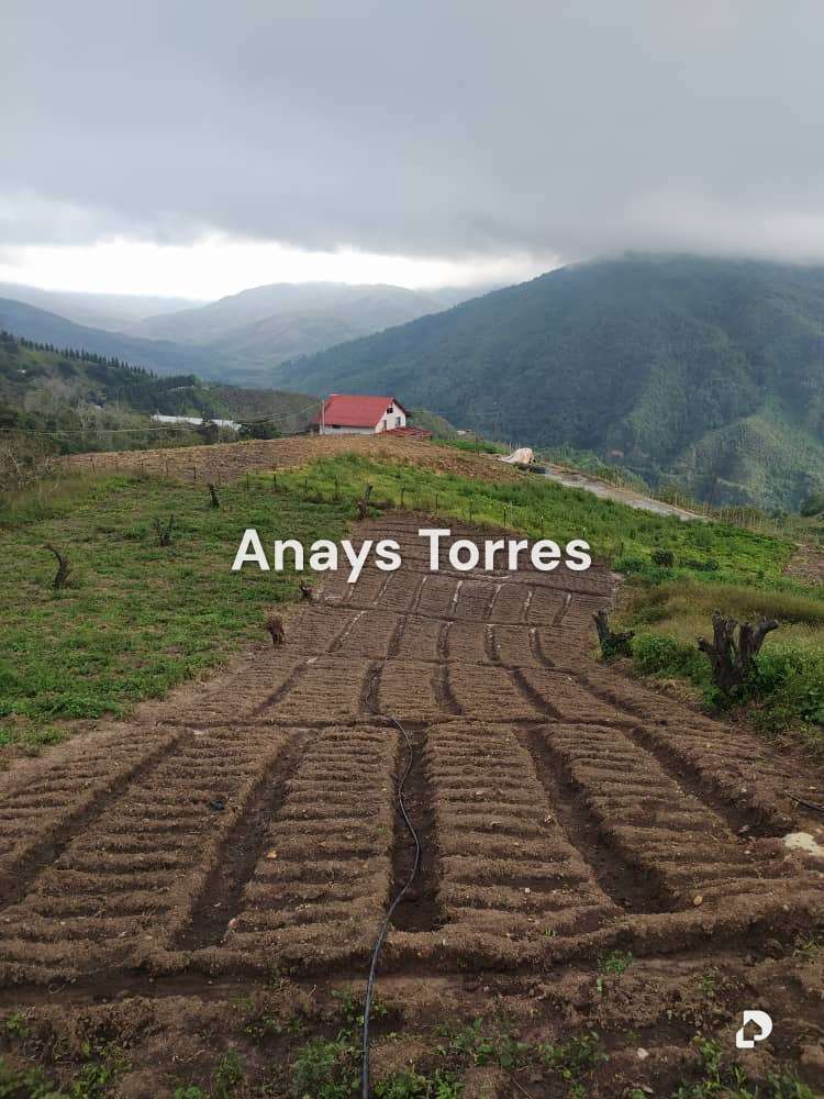 Finca en Los Teques, Altos Mirandinos – 3