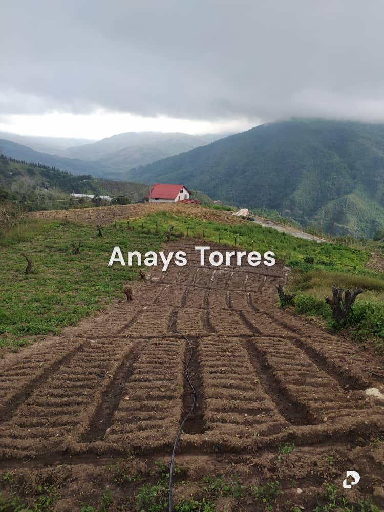 Finca en Los Teques, Altos Mirandinos – 3