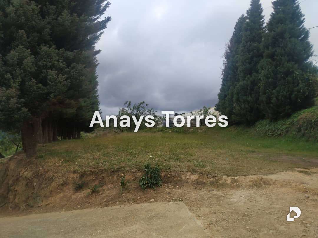 Finca en Los Teques, Altos Mirandinos – 13