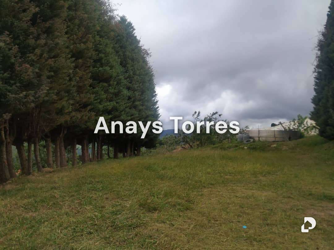 Finca en Los Teques, Altos Mirandinos – 6