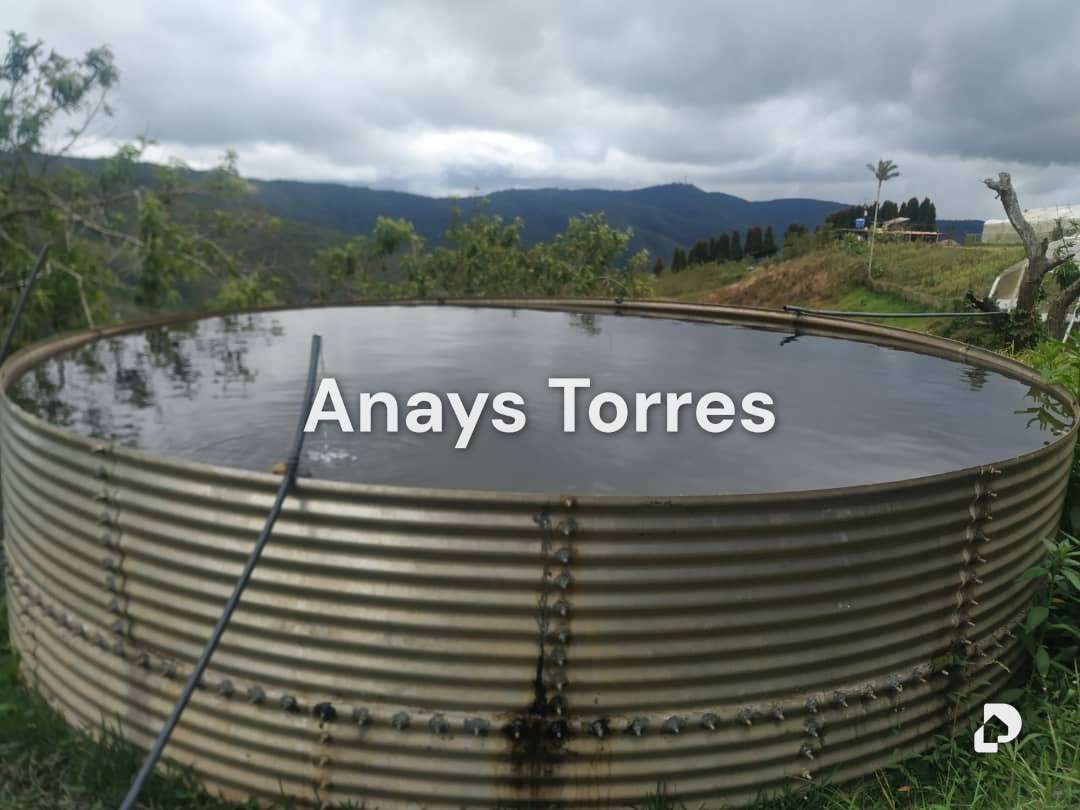Finca en Los Teques, Altos Mirandinos – 2