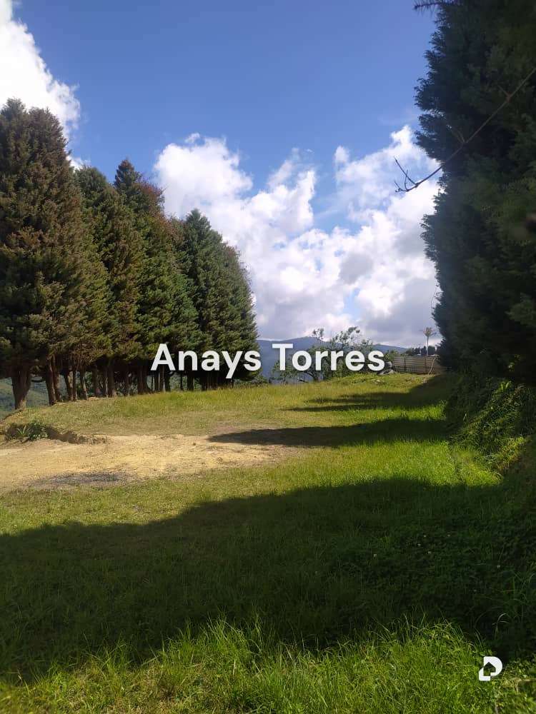 Finca en Los Teques, Altos Mirandinos – 7