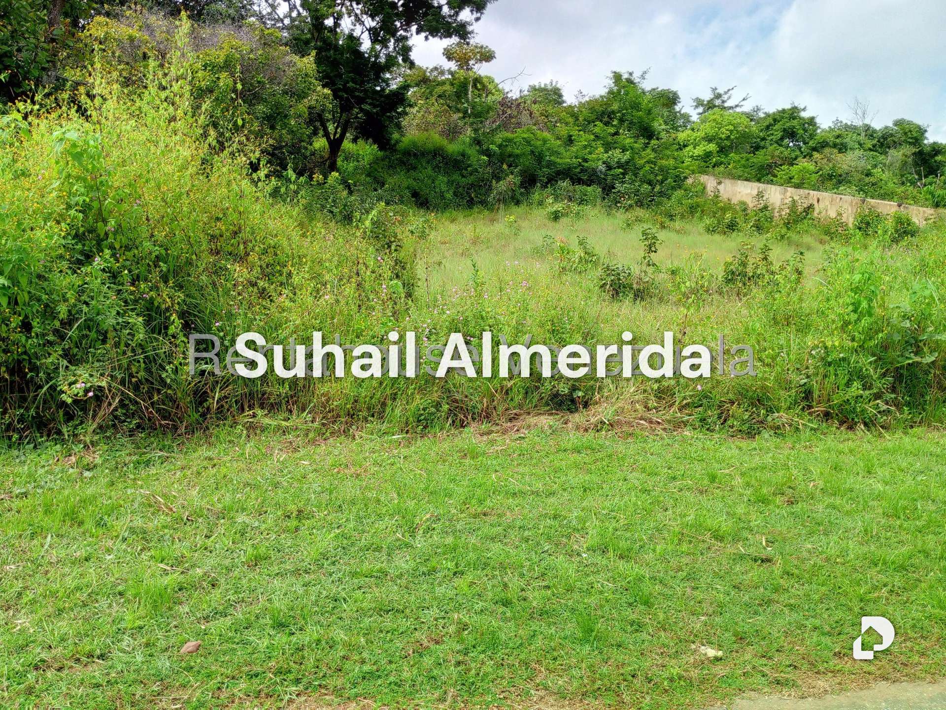 Terreno en Safari Carabobo, Libertador – 7