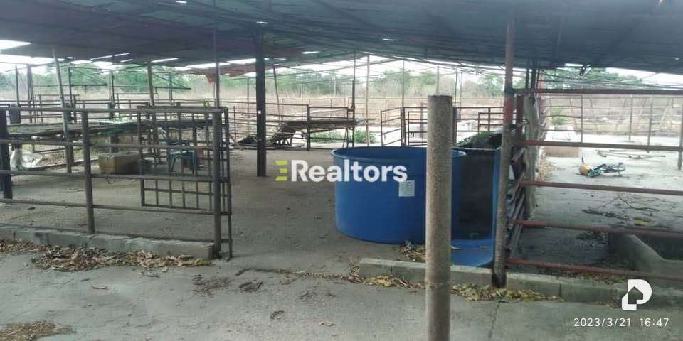 Finca en Maturín – 10