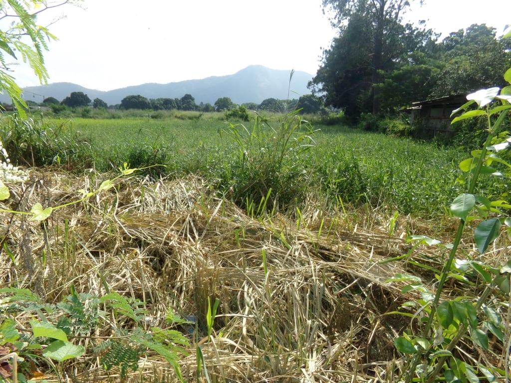 Terreno en Sabana del Medio, San Diego