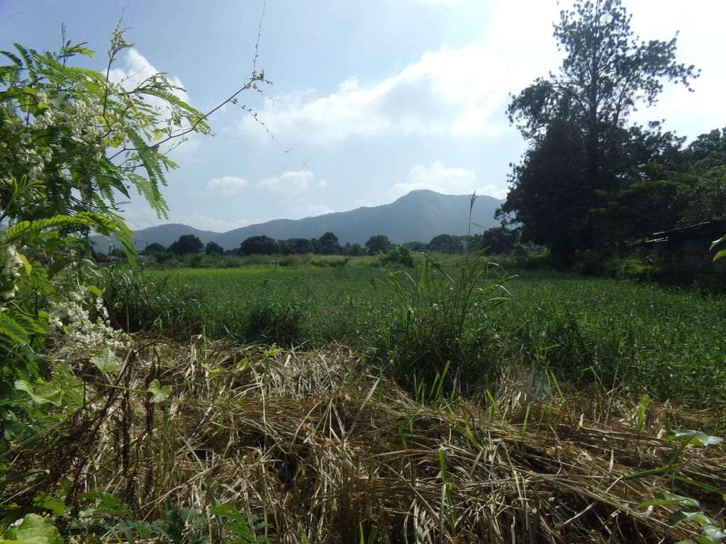 Terreno en Sabana del Medio, San Diego