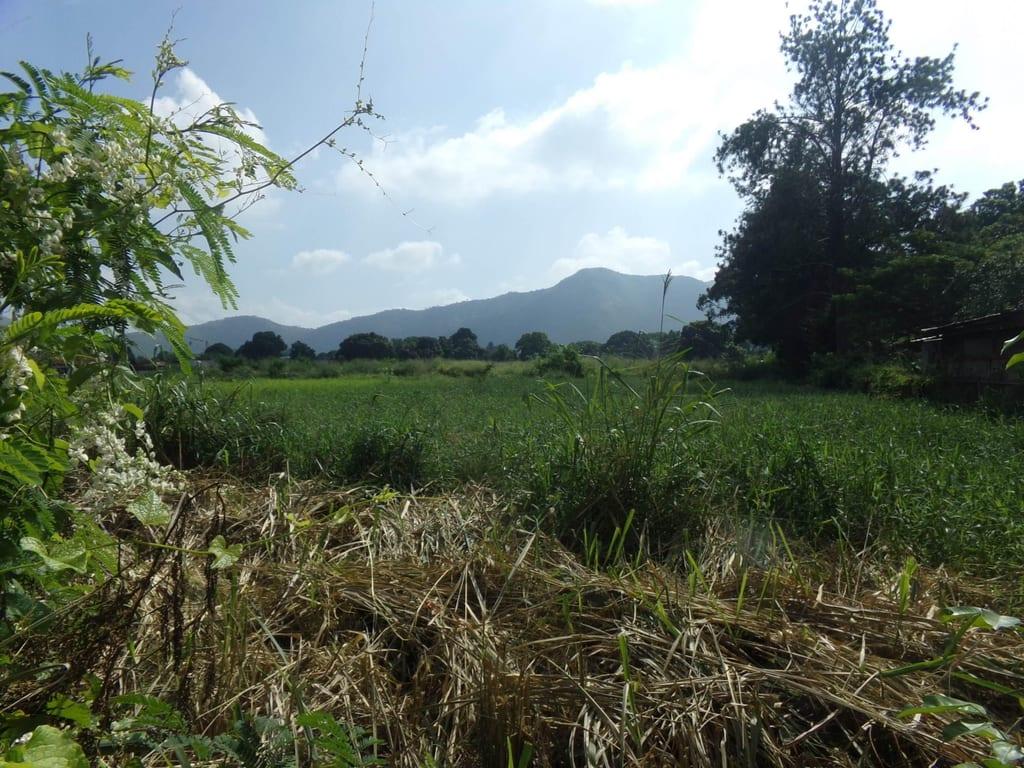 Terreno en Sabana del Medio, San Diego