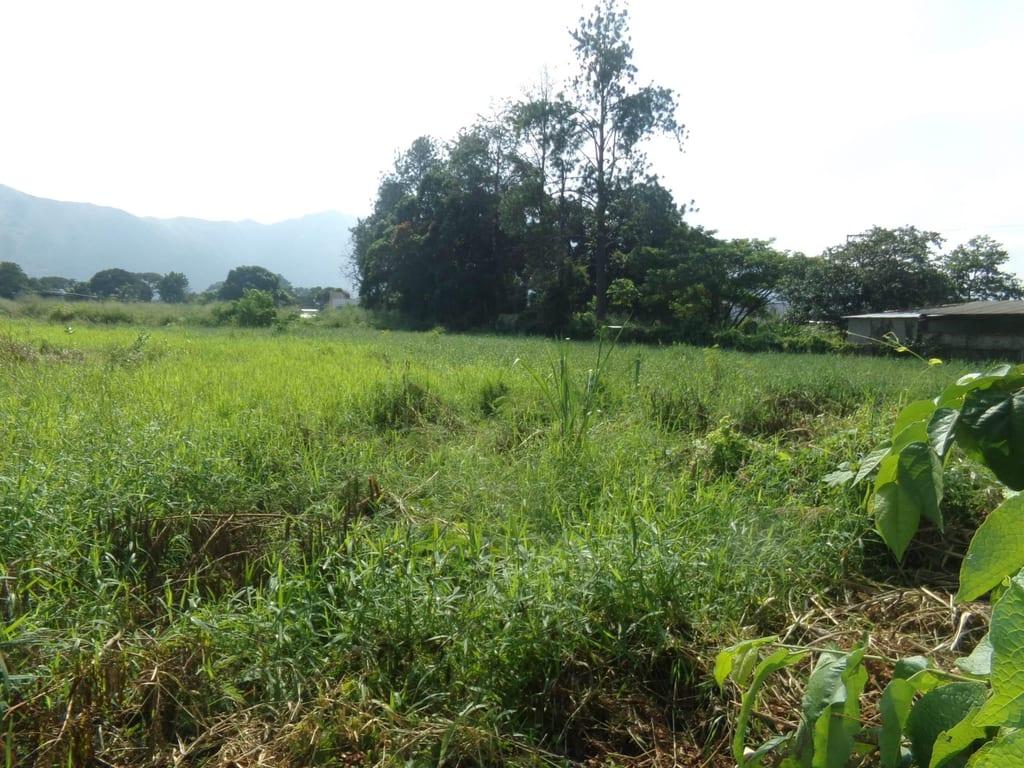 Terreno en Sabana del Medio, San Diego