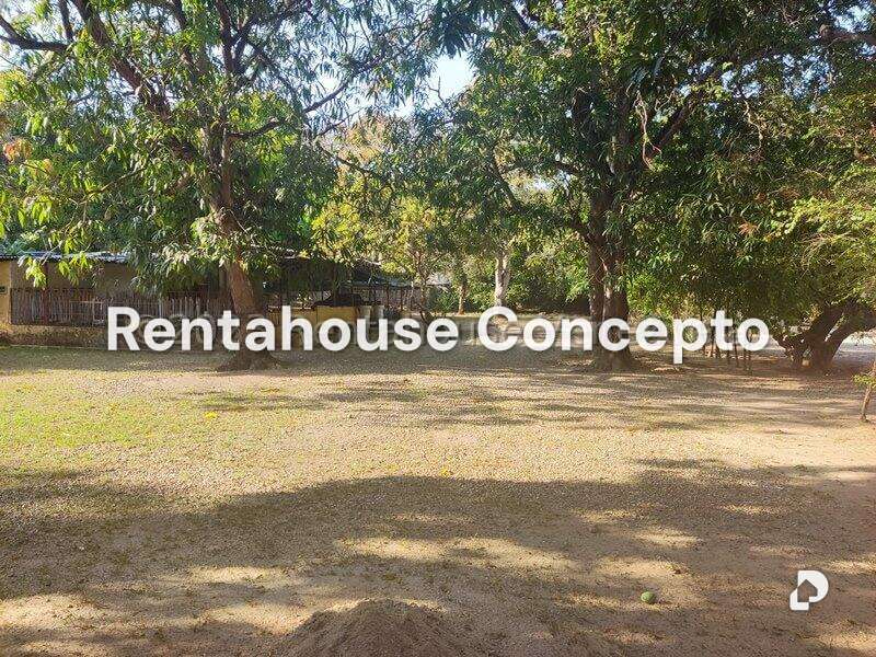 Terreno en Parroquia Urbana San José, Valencia – 7