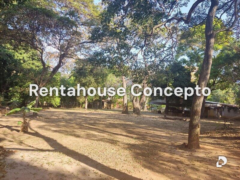 Terreno en Parroquia Urbana San José, Valencia – 4