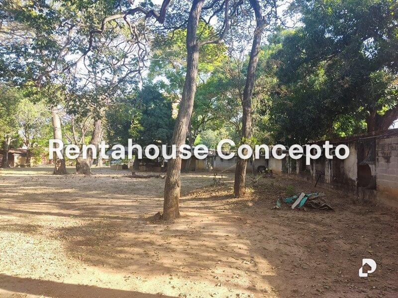 Terreno en Parroquia Urbana San José, Valencia – 5