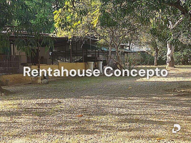 Terreno en Parroquia Urbana San José, Valencia – 21