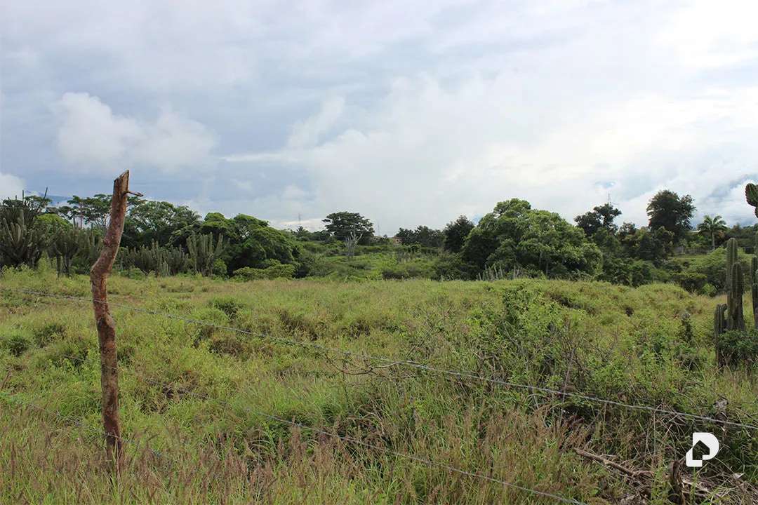 Terreno en Caserío El Llano, San Juan – 8