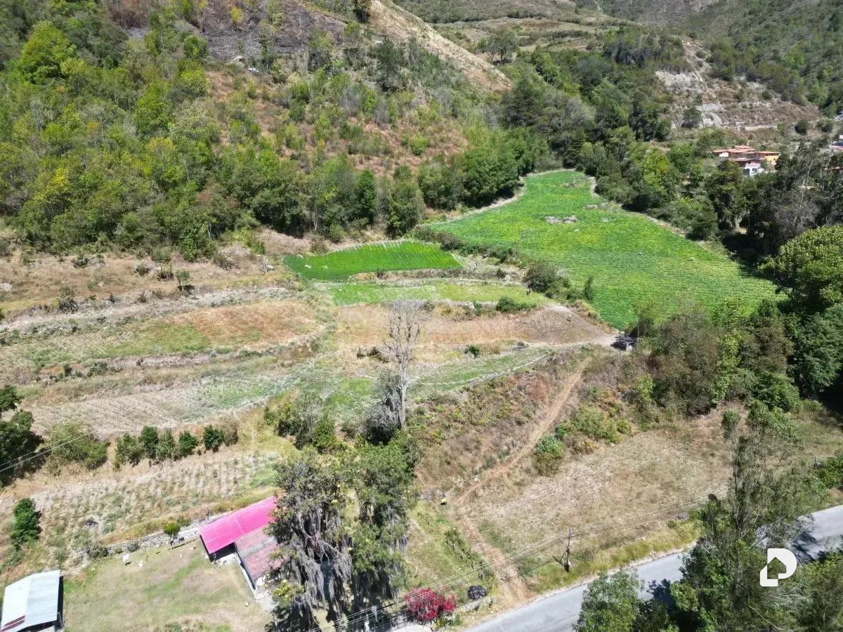 Terreno en Cacute – 2