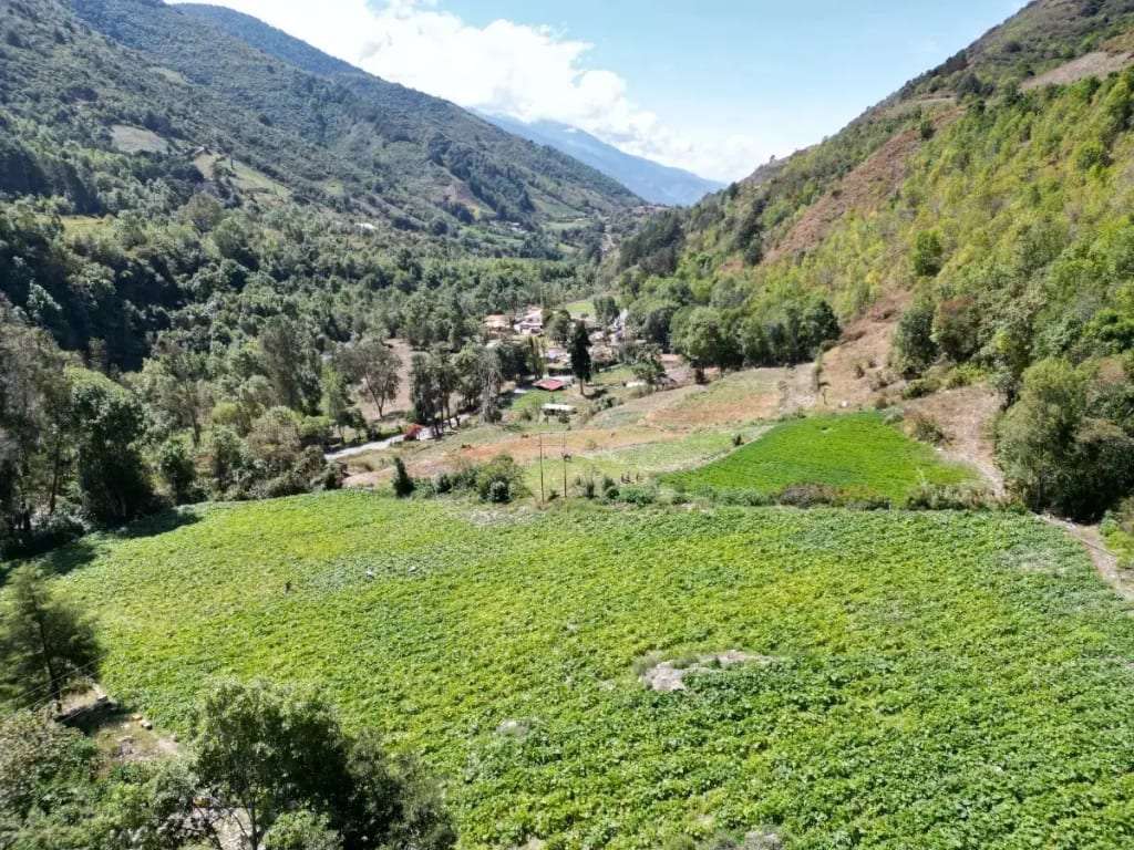 Terreno en Cacute - 1