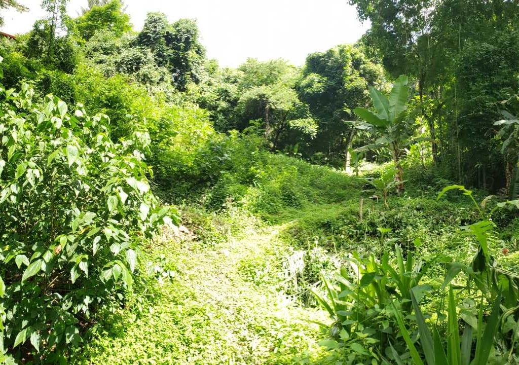 Casa en Los Campitos, Caracas