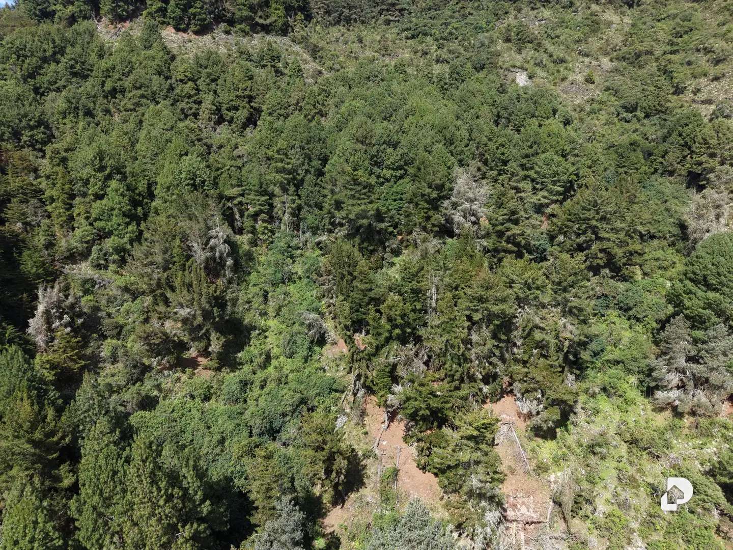 Finca en El Rincón De La Venta, La Venta – 22