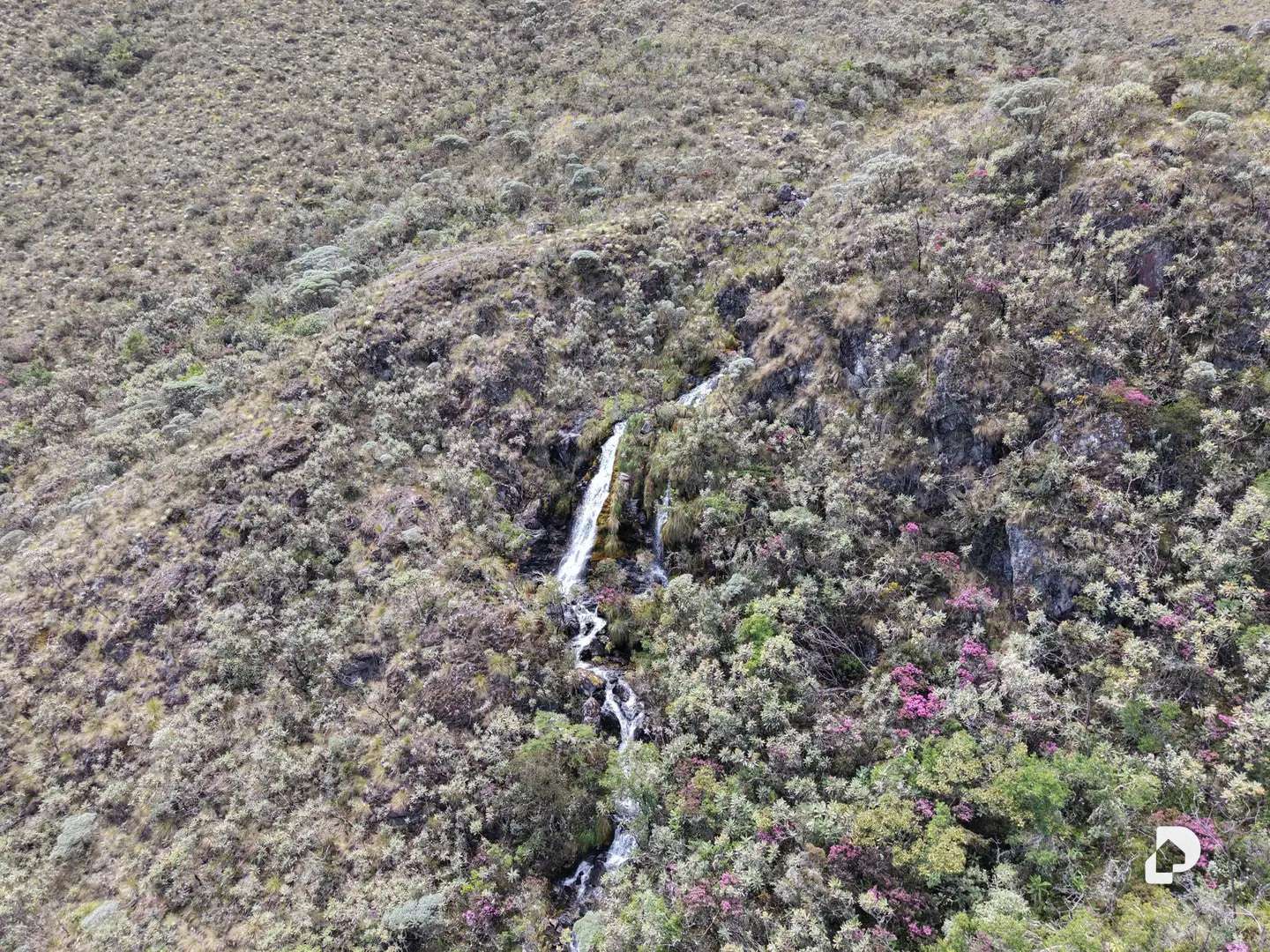 Finca en El Rincón De La Venta, La Venta – 9