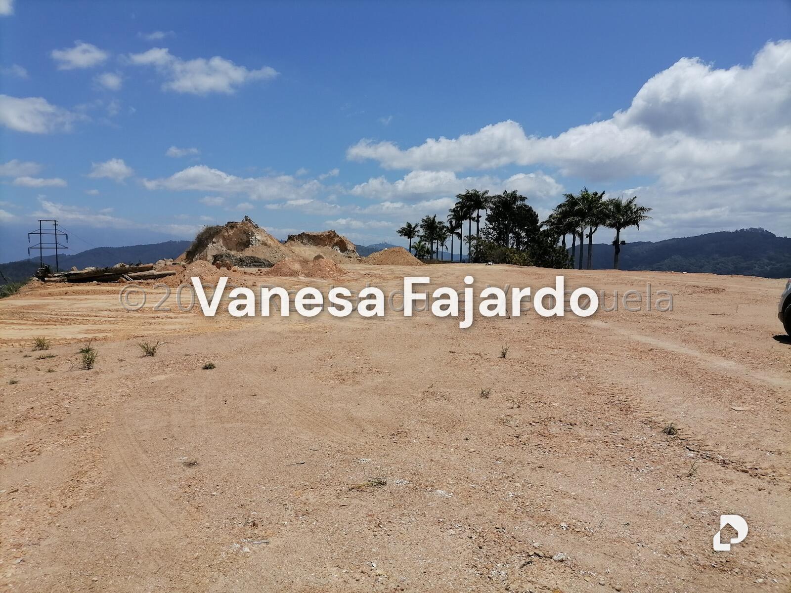 Terreno en Potrerito, San Antonio de Los Altos – 1