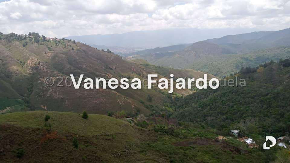 Terreno en Potrerito, San Antonio de Los Altos – 7