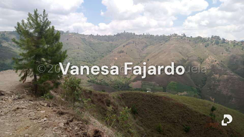 Terreno en Potrerito, San Antonio de Los Altos – 8