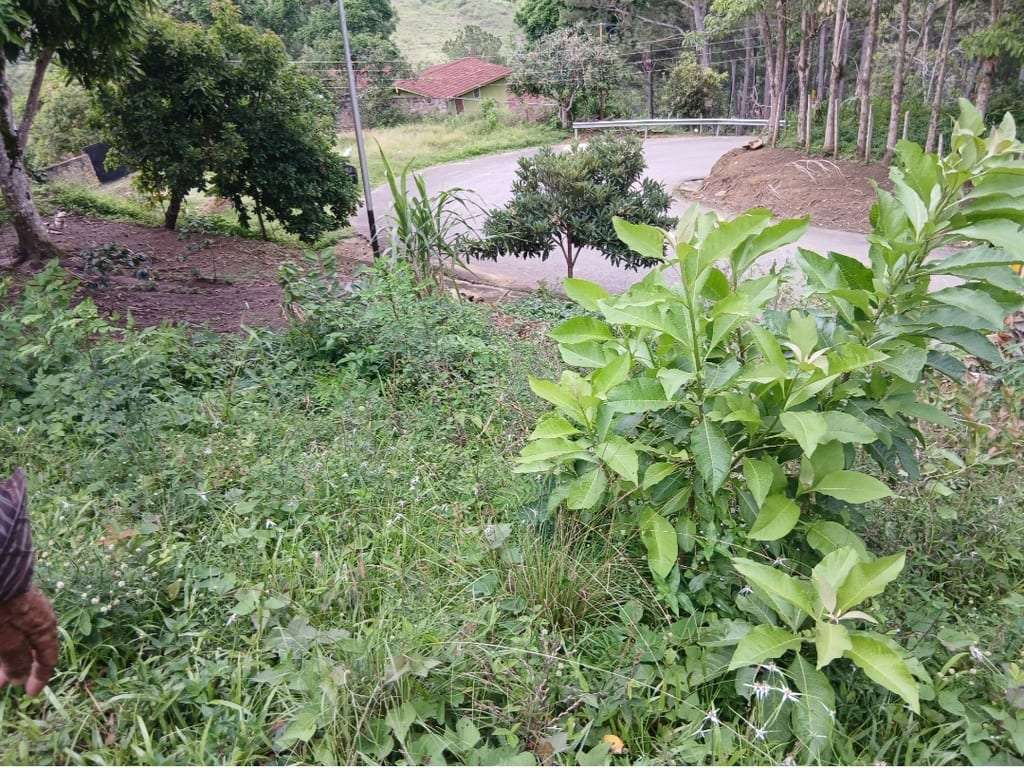 Terreno en Caripe - 1