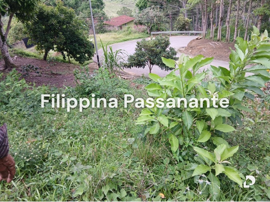 Terreno en El Copey, Caripe – 1