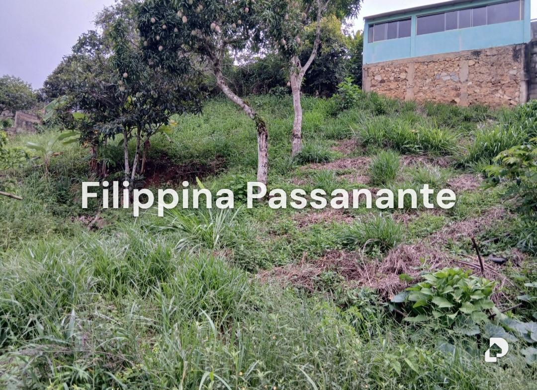 Terreno en El Copey, Caripe – 2