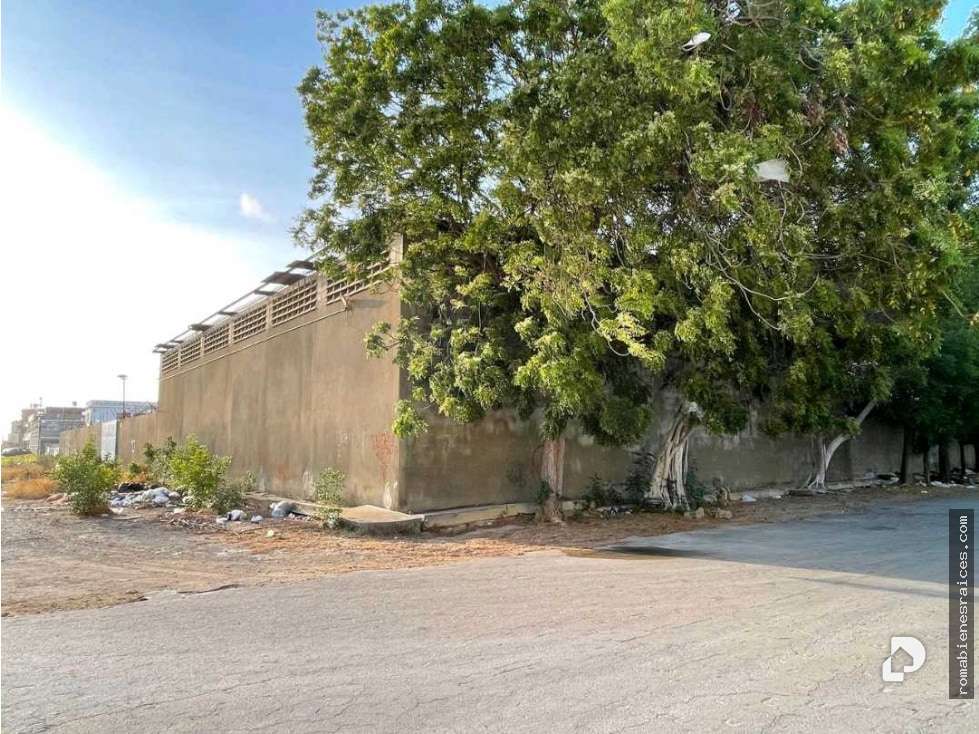 Edificio en Punto Fijo – 29
