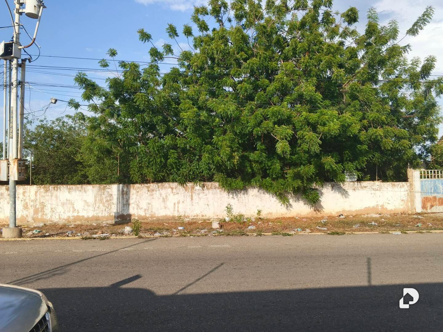 Terreno en Calle Falcón, Maracaibo – 1