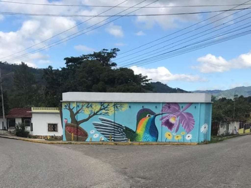 Terreno en Caripe - 1