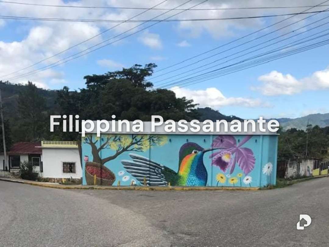 Terreno en Caripe – 1