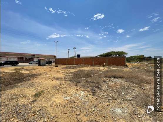 Terreno en Autop. Coro - Tacuato - Pto. Fijo, Punto Fijo – 7